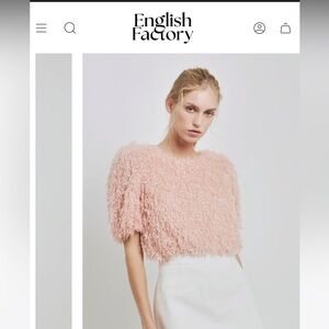 NWOT english factory blouse fuzzy feather top blush